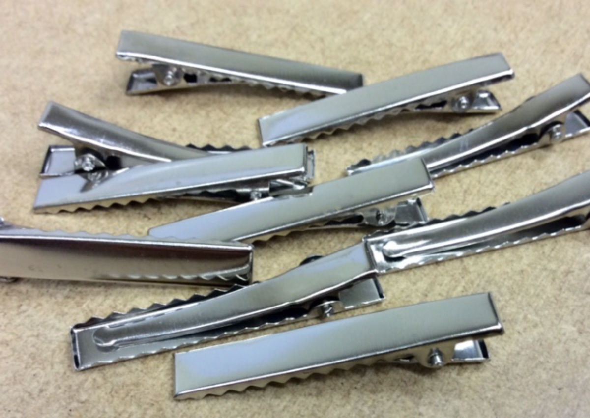 Alligator Hair Clips Pack 10