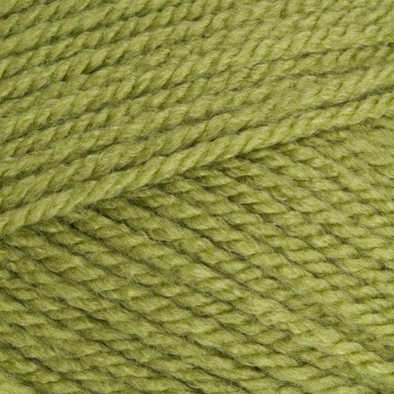 Stylecraft Special Chunky Acrylic Knitting Crochet Yarn meadow