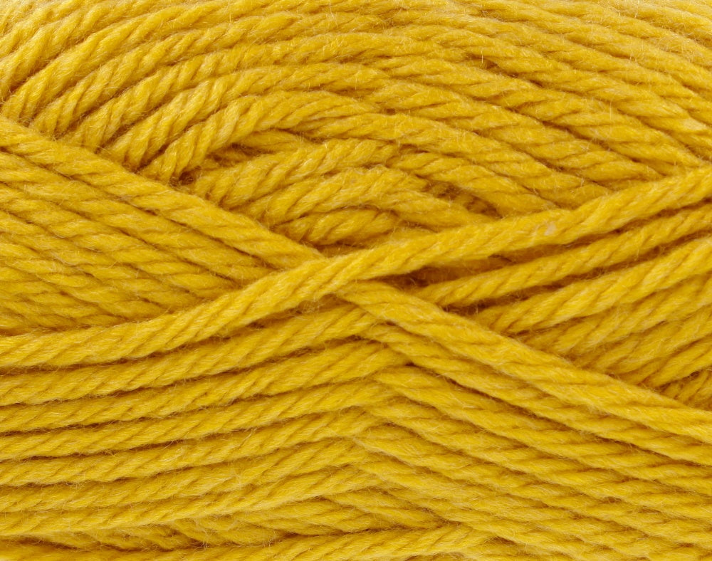 Lissys Crochet Blanket KitLissys Crochet Blanket Kit with crochet hook and yarn