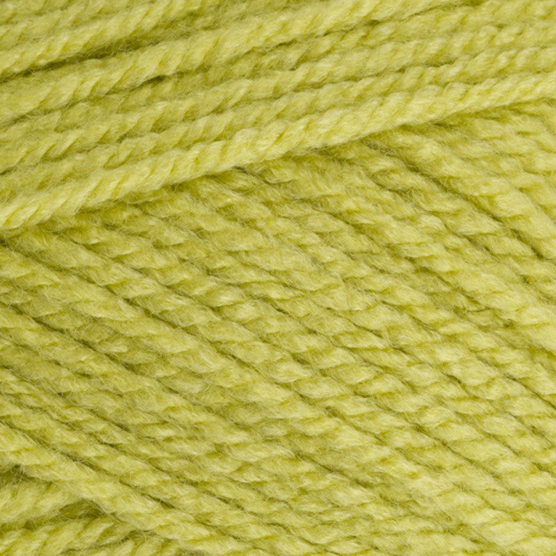 Stylecraft Special Aran Acrylic Knitting Crochet Yarn pistachio